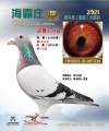图片暂时未上传