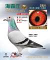 图片暂时未上传