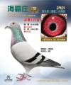 图片暂时未上传