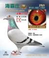图片暂时未上传