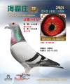 图片暂时未上传