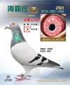 图片暂时未上传