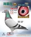 图片暂时未上传