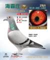 图片暂时未上传