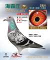 图片暂时未上传