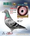 图片暂时未上传