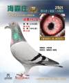 图片暂时未上传