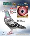 图片暂时未上传