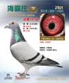 图片暂时未上传