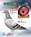 图片暂时未上传
