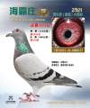 图片暂时未上传