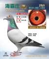 图片暂时未上传