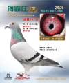 图片暂时未上传