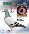 图片暂时未上传