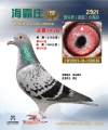 图片暂时未上传