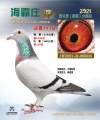图片暂时未上传