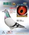 图片暂时未上传