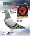 图片暂时未上传