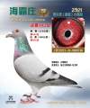 图片暂时未上传