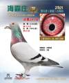 图片暂时未上传