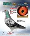 图片暂时未上传