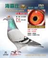 图片暂时未上传
