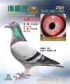 图片暂时未上传