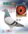 图片暂时未上传