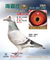 图片暂时未上传
