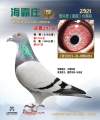 图片暂时未上传