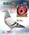 图片暂时未上传