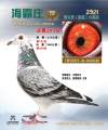 图片暂时未上传
