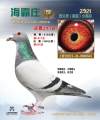 图片暂时未上传