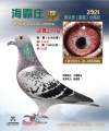 图片暂时未上传
