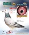 图片暂时未上传
