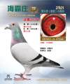 图片暂时未上传
