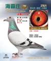 图片暂时未上传