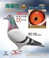 图片暂时未上传