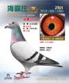 图片暂时未上传