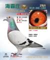 图片暂时未上传
