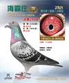 图片暂时未上传