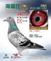 图片暂时未上传