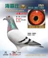 图片暂时未上传