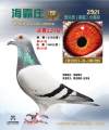 图片暂时未上传