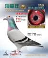 图片暂时未上传