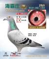 图片暂时未上传