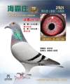 图片暂时未上传