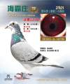 图片暂时未上传