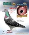 图片暂时未上传