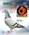 图片暂时未上传
